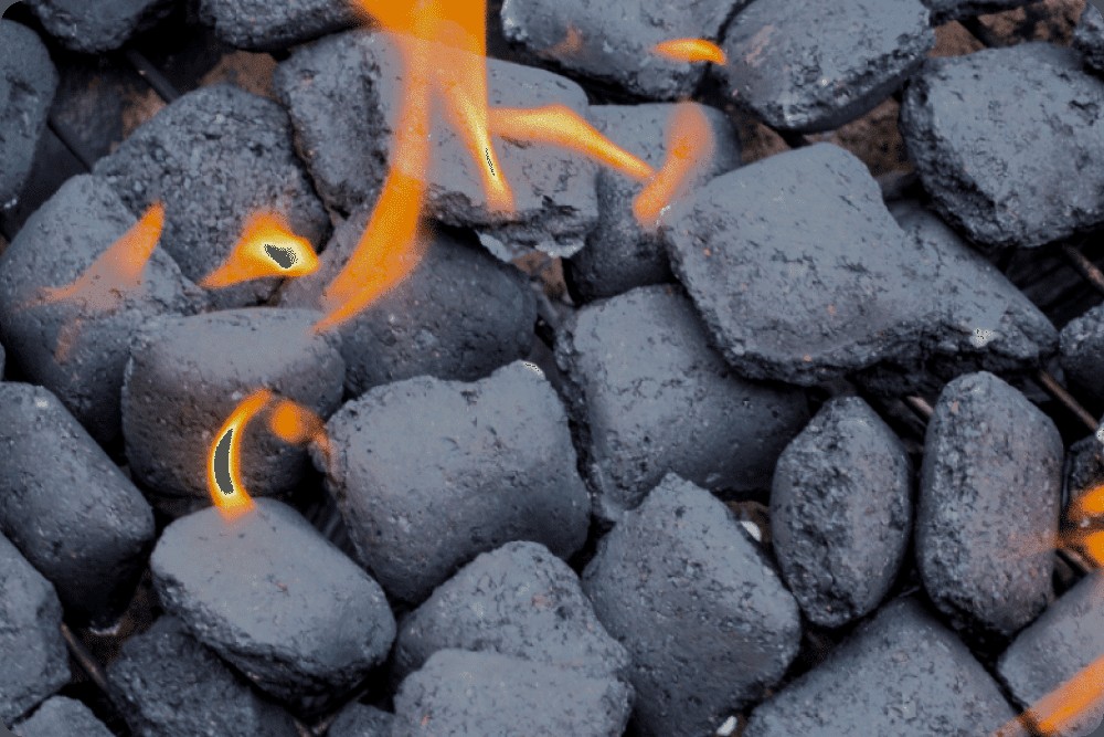 Coconut Briquette