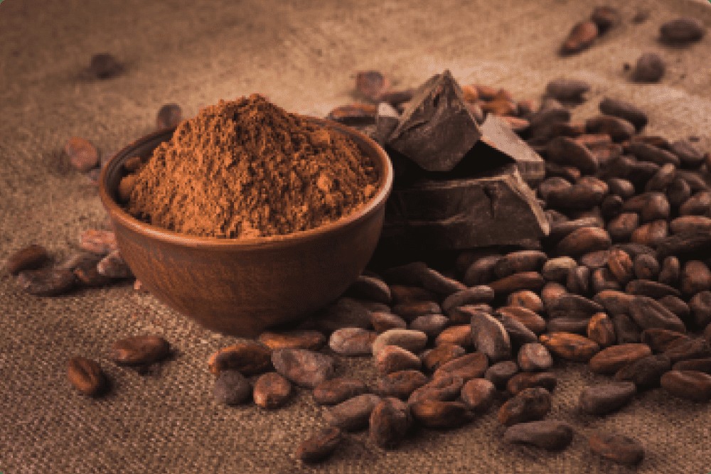 Cocoa Beans
