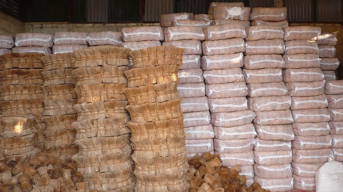 Coco Fiber